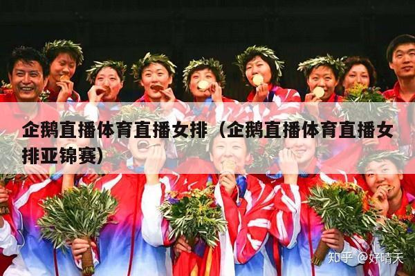 企鹅直播体育直播女排（企鹅直播体育直播女排亚锦赛）