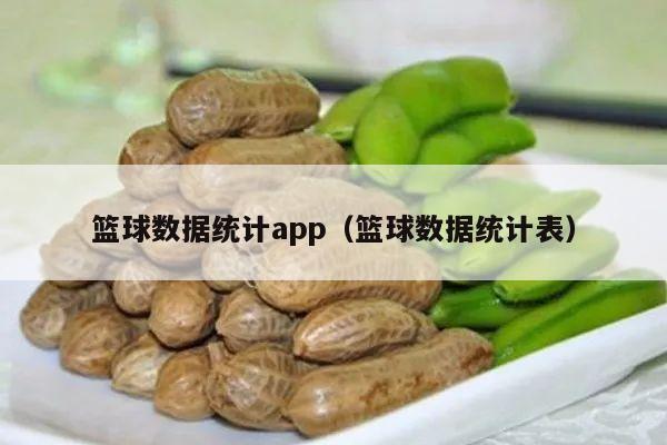 篮球数据统计app（篮球数据统计表）