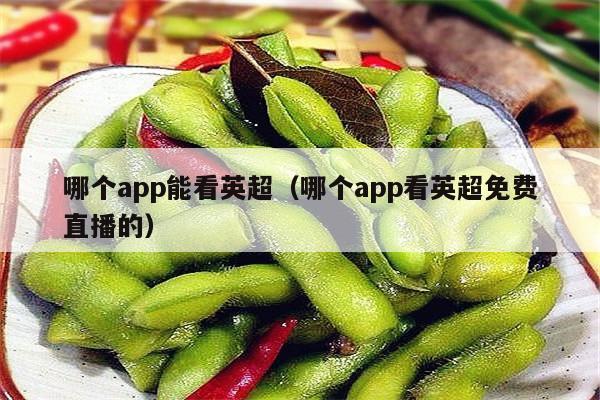 哪个app能看英超（哪个app看英超免费直播的）