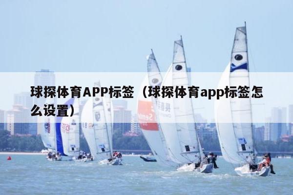 球探体育APP标签（球探体育app标签怎么设置）