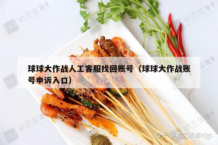 球球大作战人工客服找回账号（球球大作战账号申诉入口）