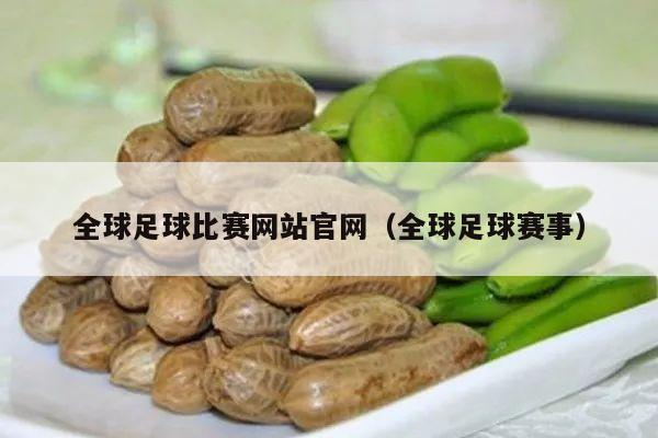 全球足球比赛网站官网（全球足球赛事）