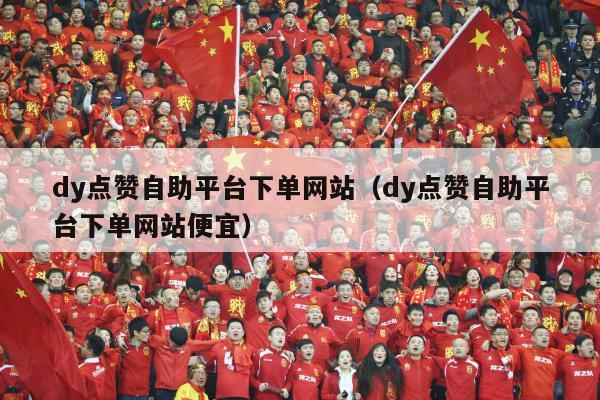 dy点赞自助平台下单网站（dy点赞自助平台下单网站便宜）