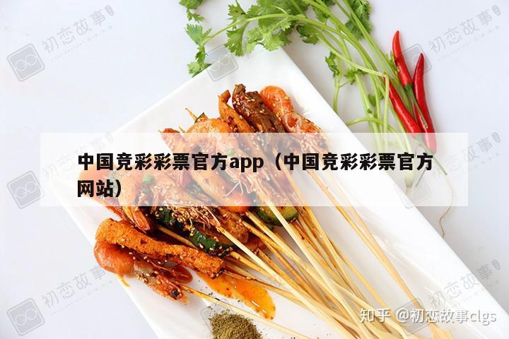 中国竞彩彩票官方app（中国竞彩彩票官方网站）