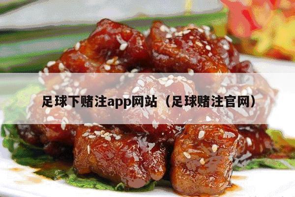 足球下赌注app网站（足球赌注官网）