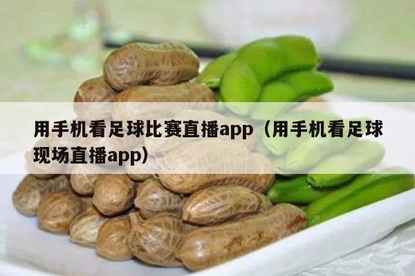 用手机看足球比赛直播app（用手机看足球现场直播app）