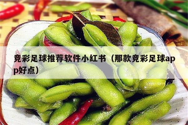 竞彩足球推荐软件小红书（那款竞彩足球app好点）