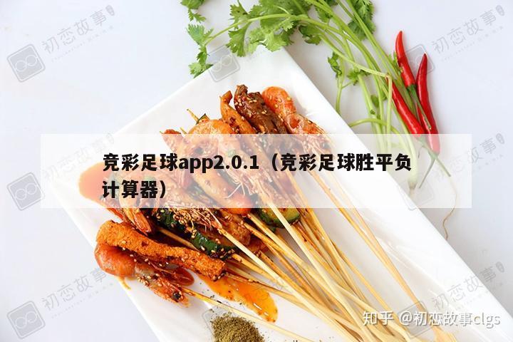 竞彩足球app2.0.1（竞彩足球胜平负计算器）