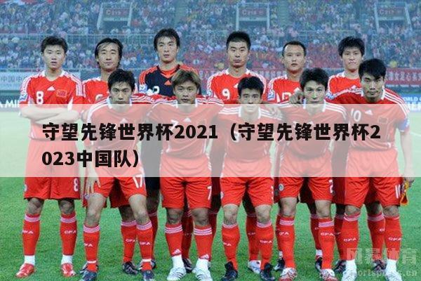 守望先锋世界杯2021（守望先锋世界杯2023中国队）