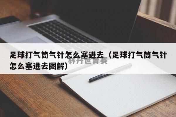 足球打气筒气针怎么塞进去（足球打气筒气针怎么塞进去图解）