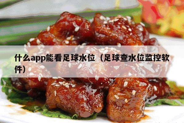 什么app能看足球水位（足球查水位监控软件）