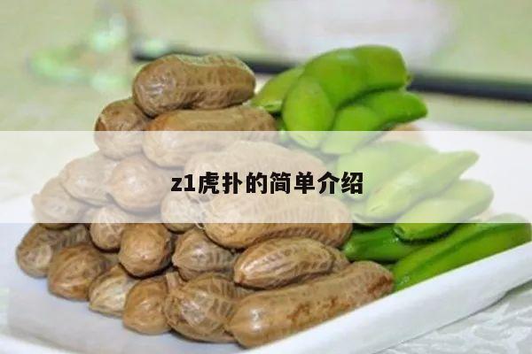 z1虎扑的简单介绍