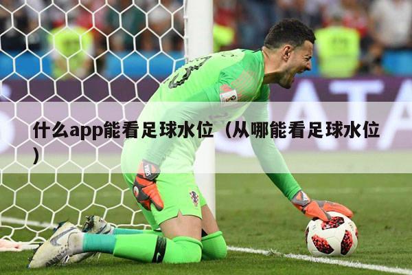 什么app能看足球水位（从哪能看足球水位）