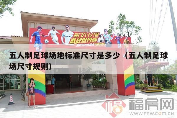 五人制足球场地标准尺寸是多少（五人制足球场尺寸规则）