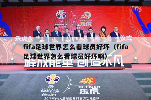 fifa足球世界怎么看球员好坏（fifa足球世界怎么看球员好坏啊）