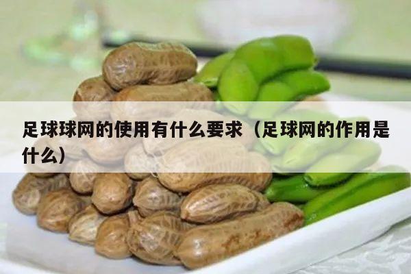 足球球网的使用有什么要求（足球网的作用是什么）