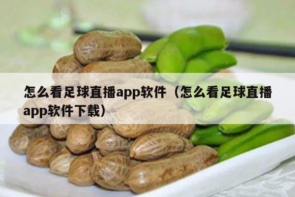 怎么看足球直播app软件（怎么看足球直播app软件下载）