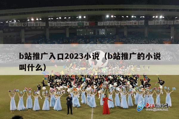 b站推广入口2023小说（b站推广的小说叫什么）