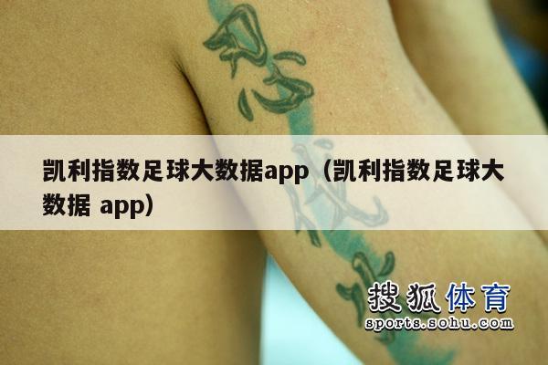 凯利指数足球大数据app（凯利指数足球大数据 app）