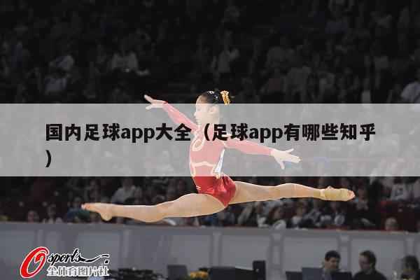 国内足球app大全（足球app有哪些知乎）