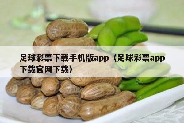 足球彩票下载手机版app（足球彩票app下载官网下载）