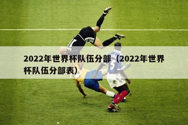 2022年世界杯队伍分部（2022年世界杯队伍分部表）