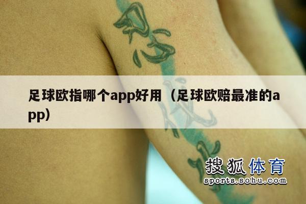 足球欧指哪个app好用（足球欧赔最准的app）