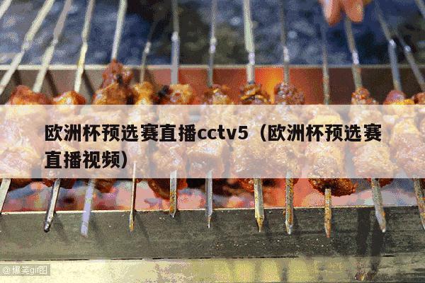 欧洲杯预选赛直播cctv5（欧洲杯预选赛直播视频）