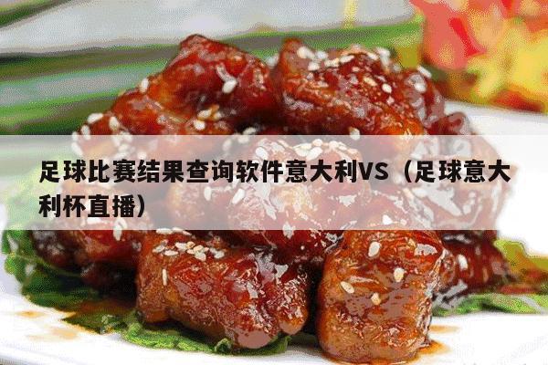 足球比赛结果查询软件意大利VS（足球意大利杯直播）