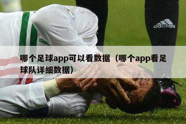 哪个足球app可以看数据（哪个app看足球队详细数据）