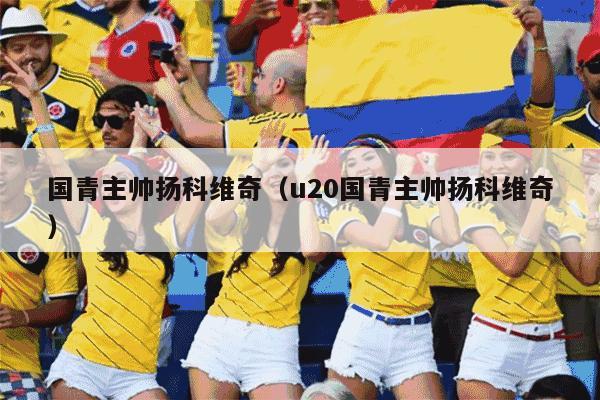 国青主帅扬科维奇（u20国青主帅扬科维奇）