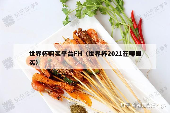 世界杯购买平台FH（世界杯2021在哪里买）