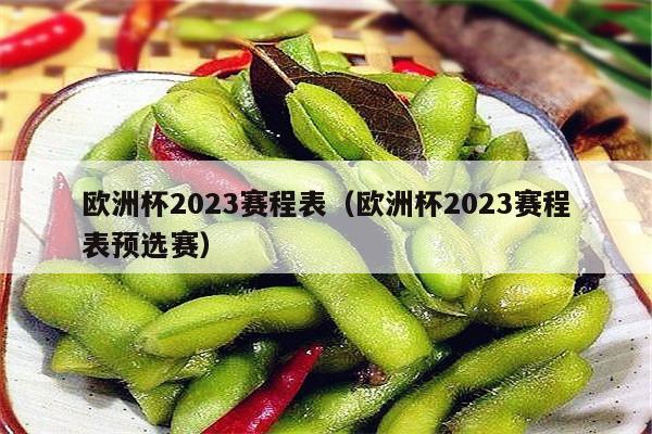 欧洲杯2023赛程表（欧洲杯2023赛程表预选赛）