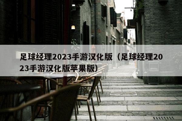 足球经理2023手游汉化版（足球经理2023手游汉化版苹果版）