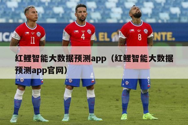 红鲤智能大数据预测app（红鲤智能大数据预测app官网）