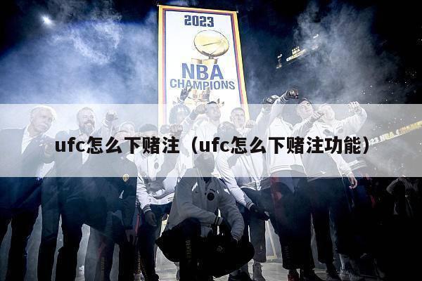 ufc怎么下赌注（ufc怎么下赌注功能）