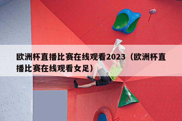 欧洲杯直播比赛在线观看2023（欧洲杯直播比赛在线观看女足）