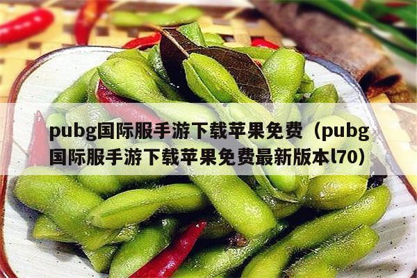 pubg国际服手游下载苹果免费（pubg国际服手游下载苹果免费最新版本l70）