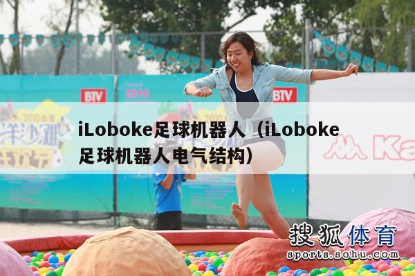 iLoboke足球机器人（iLoboke足球机器人电气结构）