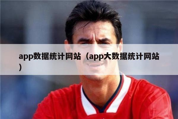 app数据统计网站（app大数据统计网站）