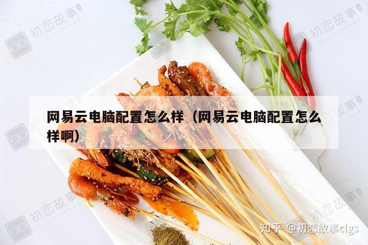 网易云电脑配置怎么样（网易云电脑配置怎么样啊）