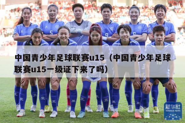 中国青少年足球联赛u15（中国青少年足球联赛u15一级证下来了吗）