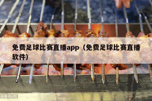 免费足球比赛直播app（免费足球比赛直播软件）