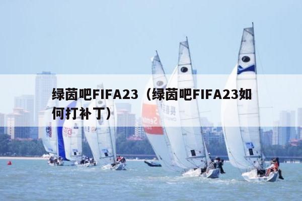 绿茵吧FIFA23（绿茵吧FIFA23如何打补丁）