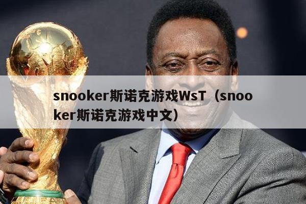 snooker斯诺克游戏WsT（snooker斯诺克游戏中文）