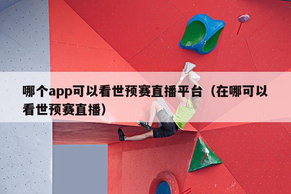 哪个app可以看世预赛直播平台（在哪可以看世预赛直播）