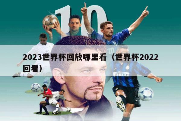 2023世界杯回放哪里看（世界杯2022回看）