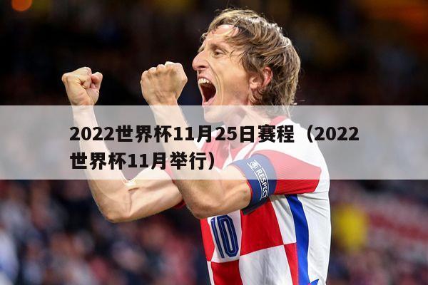 2022世界杯11月25日赛程（2022世界杯11月举行）