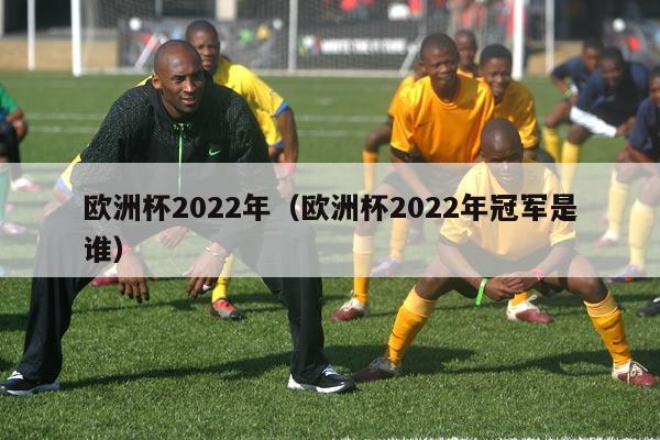 欧洲杯2022年（欧洲杯2022年冠军是谁）