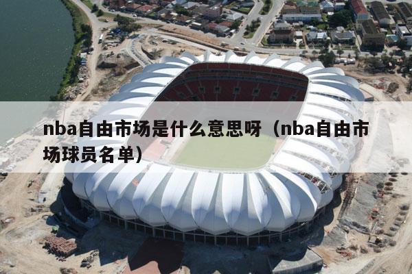 nba自由市场是什么意思呀（nba自由市场球员名单）